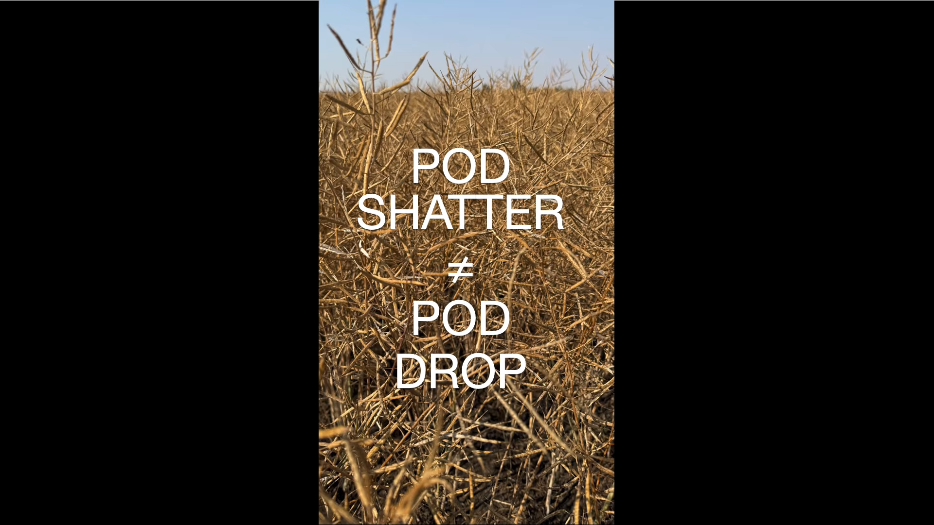 Pod shatter vs. pod drop
