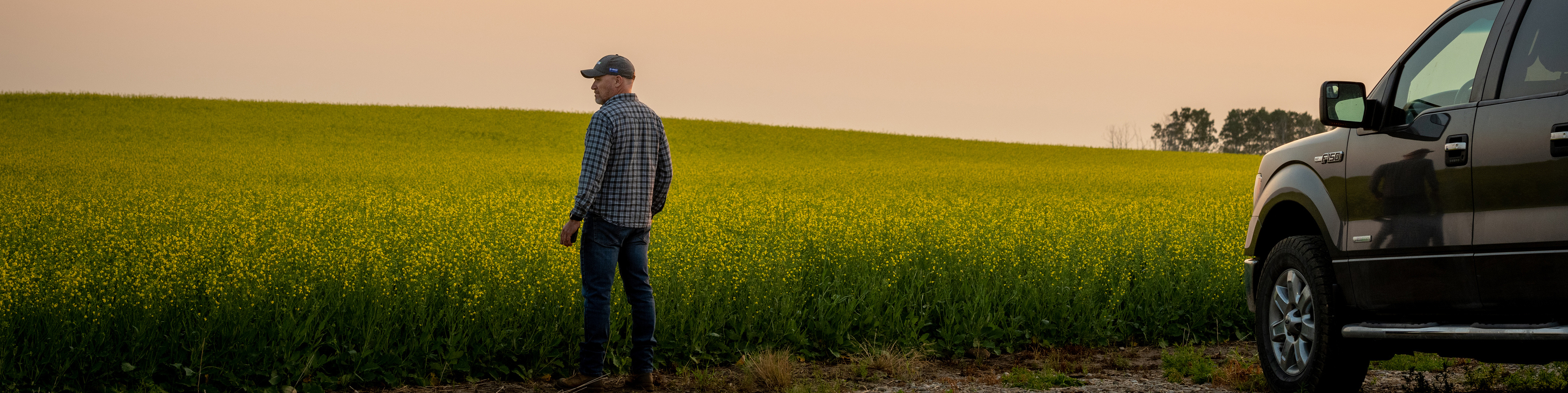 Man standing in front of a canola field