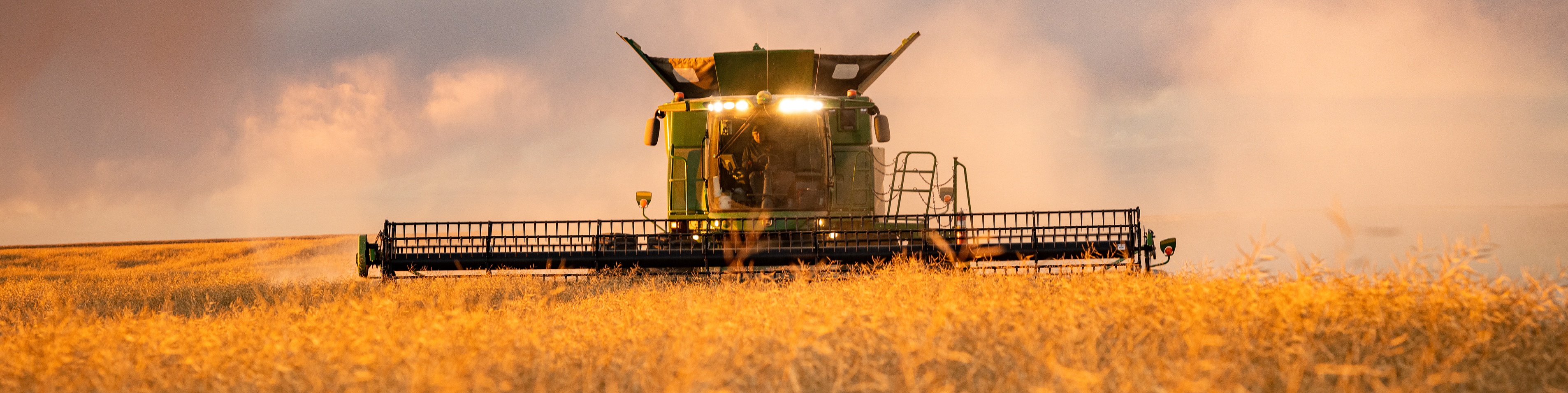 Tractor in a field