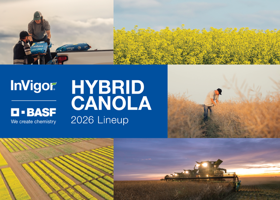2026 InVigor Hybrid Canola
