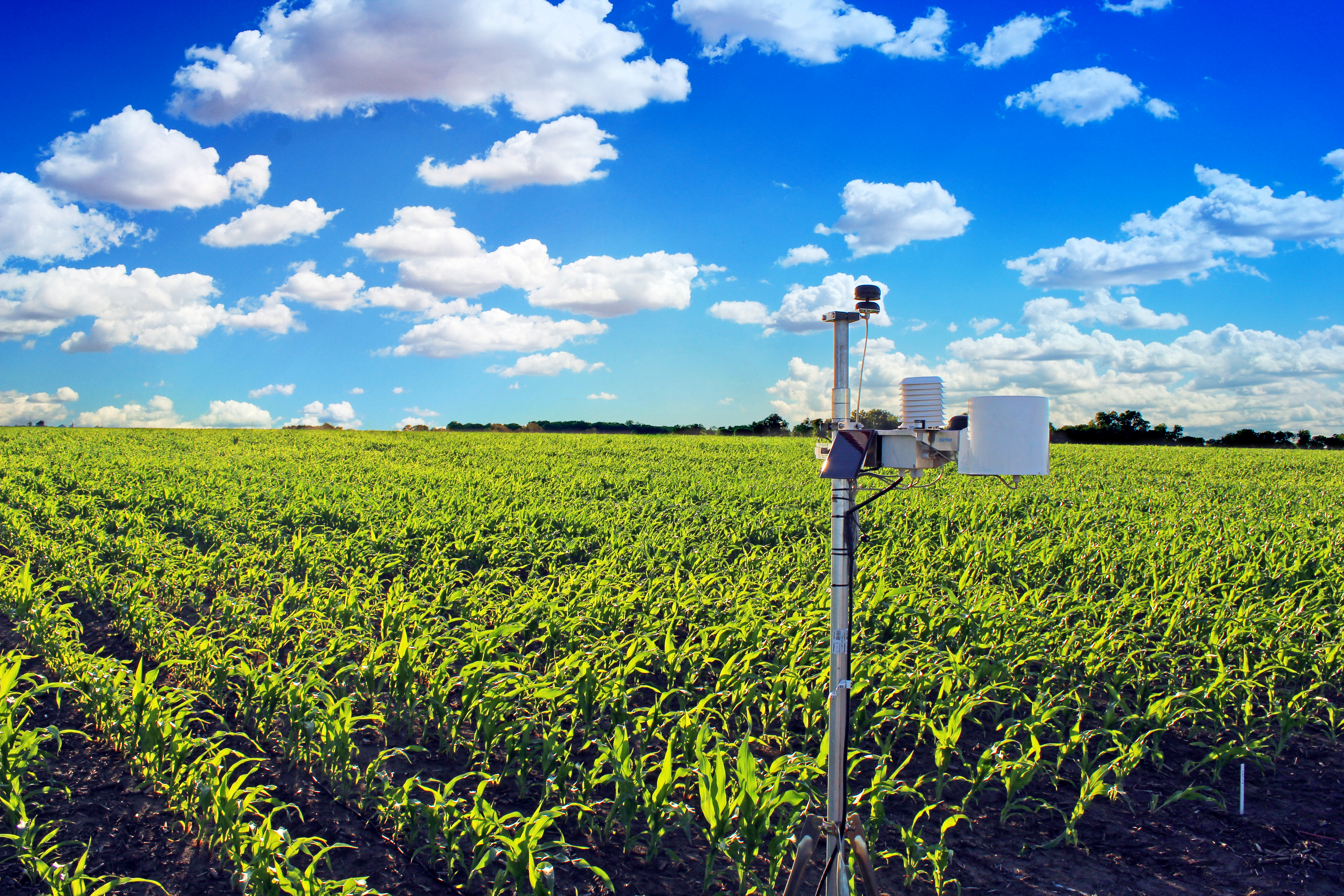 Weather station device in field