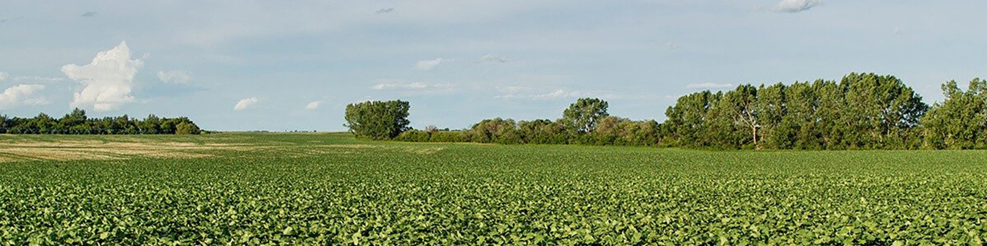 BASF | Product Profile - Headline®