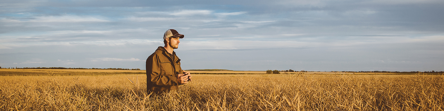 man standing in a golden wheat field