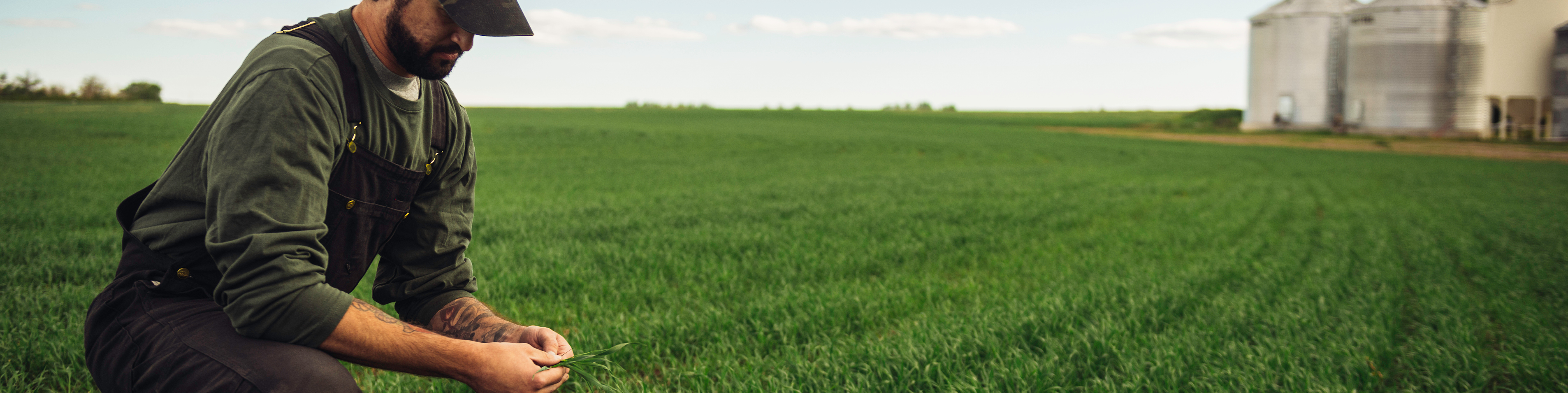 Close-up of farmer in field
