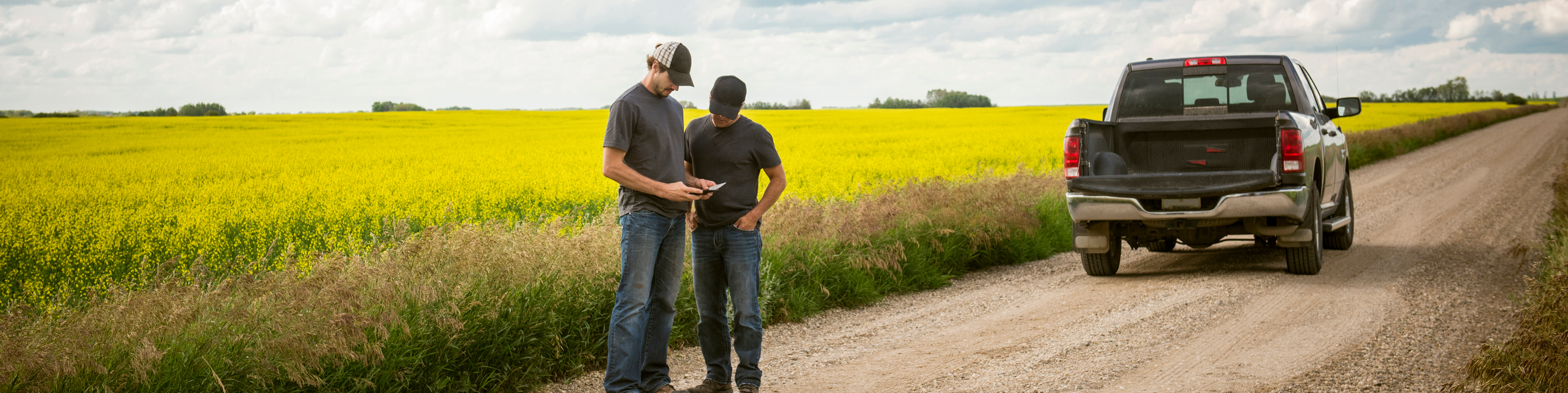 two men standing in front of a canola field looking at a mobile device