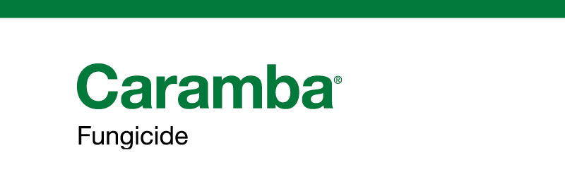 BASF  Product Profile - Caramba®