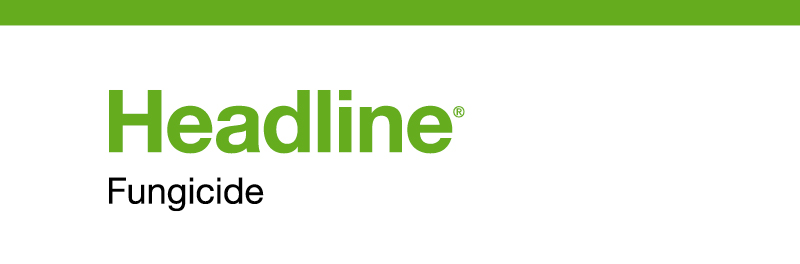 Product name - Headline Fungicide