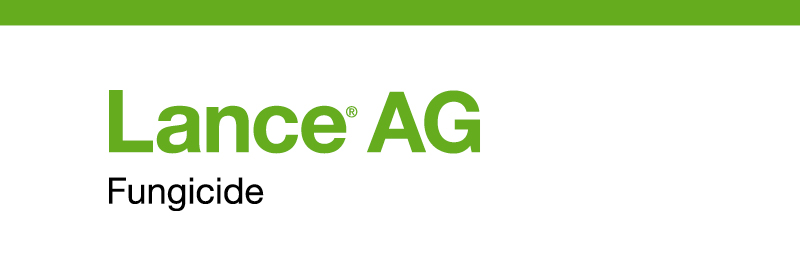 product logo - Lance AG