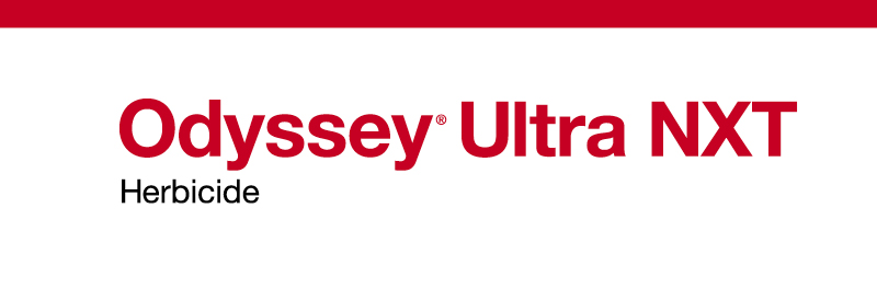Odyssey Ultra NXT product logo