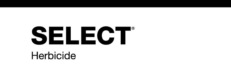 product logo - Select