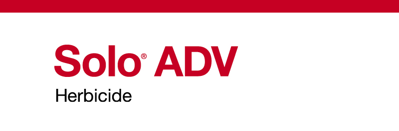 Solo ADV product logo