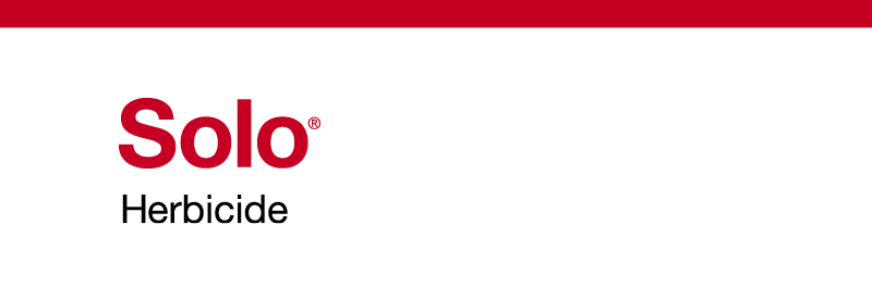 Solo product logo