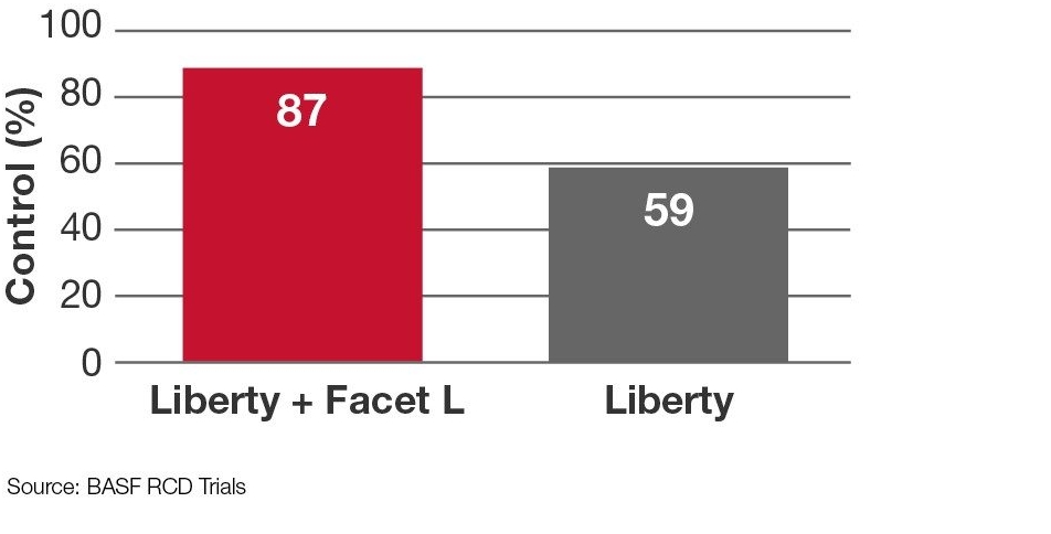 Graph - Liberty + Facet L vs. Liberty