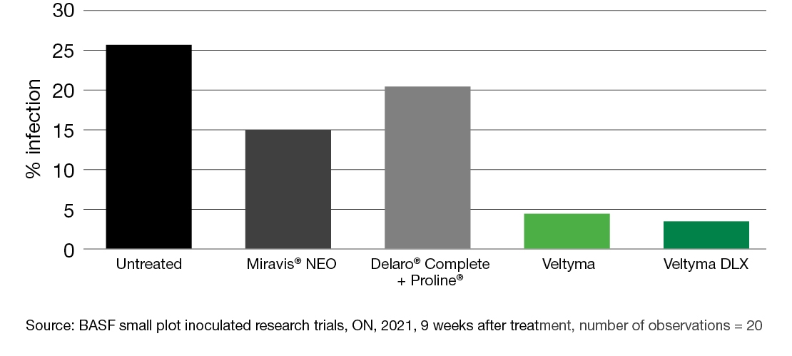 Chart Corn leaf blight: Untreated + Miravis + Delaro + Veltyma + Veltyma DLX