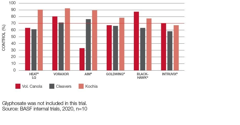 Chart: Wild Oats + Volunteer Barley