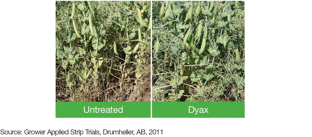 Field Comparison: Untreated + Dyax