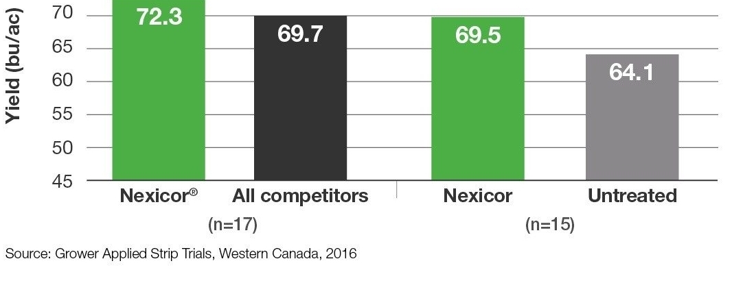 Chart Cereals low disease: Nexicor + All competitors + Nexicor + Untreated