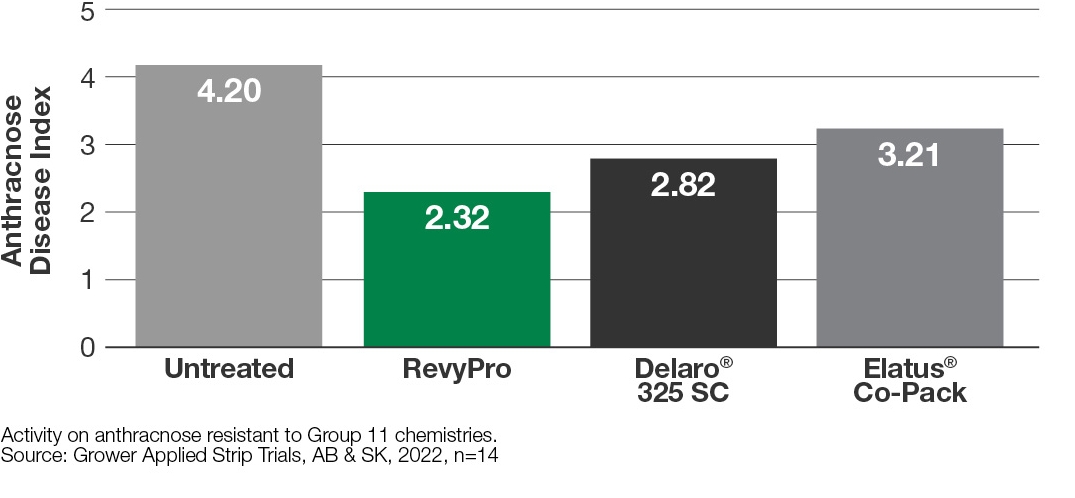 anthracnose control in lentils bar graph