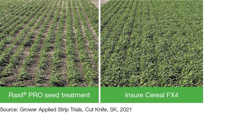 Comparison Images: Insure Cereal FX4 vs. Raxil PRO
