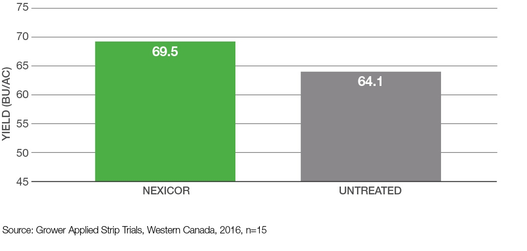 Graph: Increased yield potential at high disease pressure in cereals - Nexicor vs. Untreated