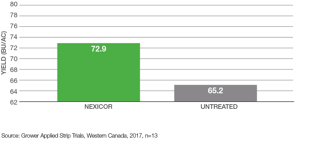Graph: Increased yield potential at low disease pressure in cereals - Nexicor vs. Untreated