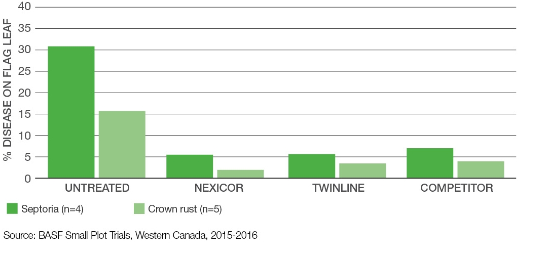 Graph: Effective control of diseases in oats - Untreated vs. Nexicor. vs. Twinline vs. Competitor