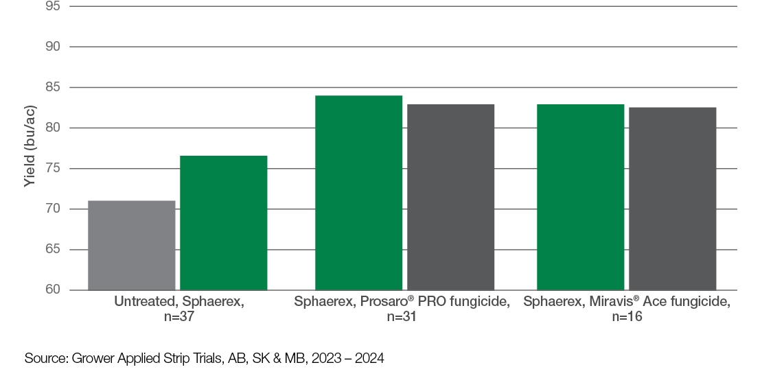 Sphaerex Graph