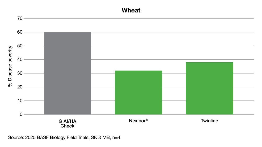 Bar chart showing wheat disease severity: untreated check at 60%, Nexicor at 32%, Twinline at 38%.