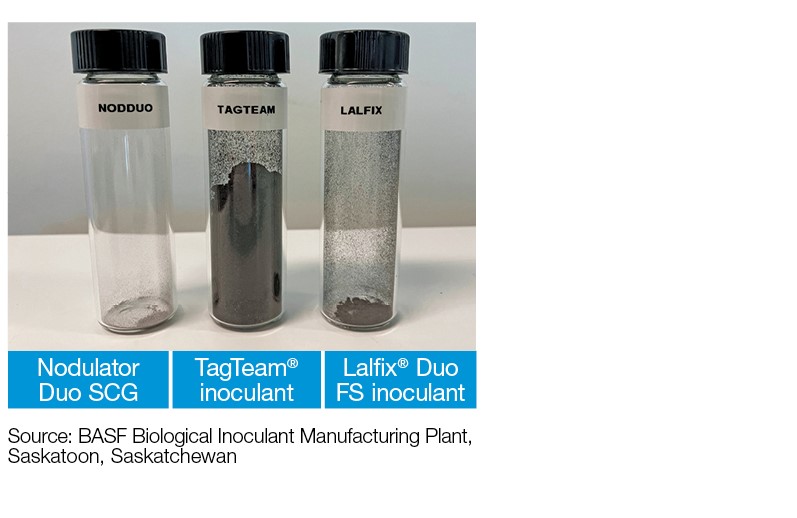 Chart: Nodulator Duo SCG inoculant reduces rhizobia loss to dust, Nodulator Duo + TagTeam + La
