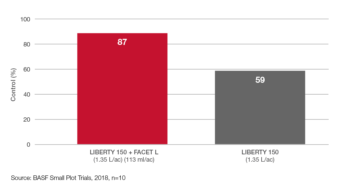 Graph - Liberty + Facet L vs. Liberty