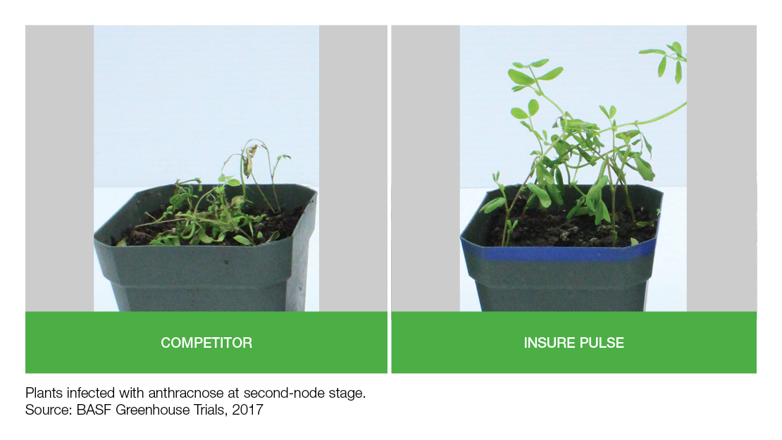Field Comparison: Competitor vs Insure Pulse