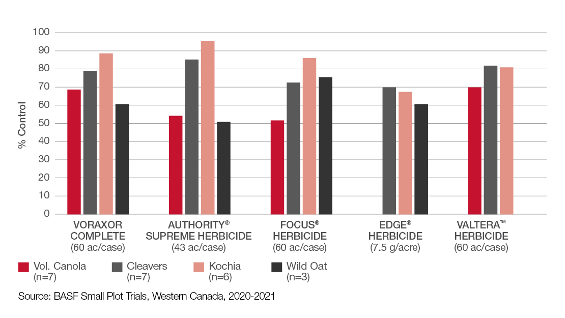 Field Comparison: Voraxor Complete vs Authority Supreme herbicide vs Focus herbicide vs Edge herbicide vs Valtera herbicide 