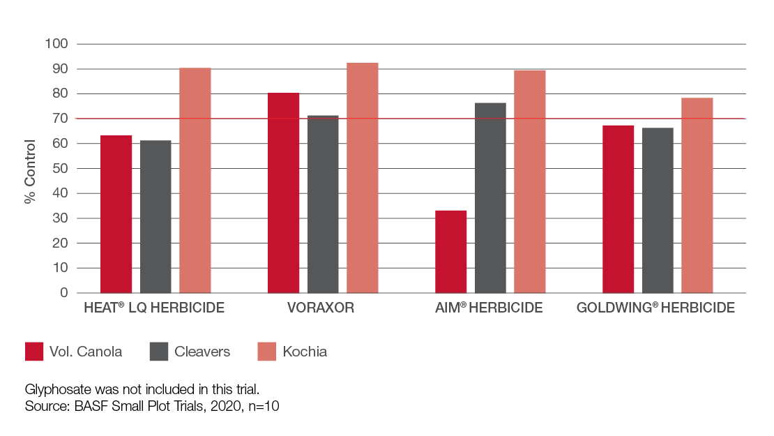 Comparisson Chart: Heat LQ vs Voraxor vs Aim vs GoldWing herbicides on volunteer canola, cleavers and kochia