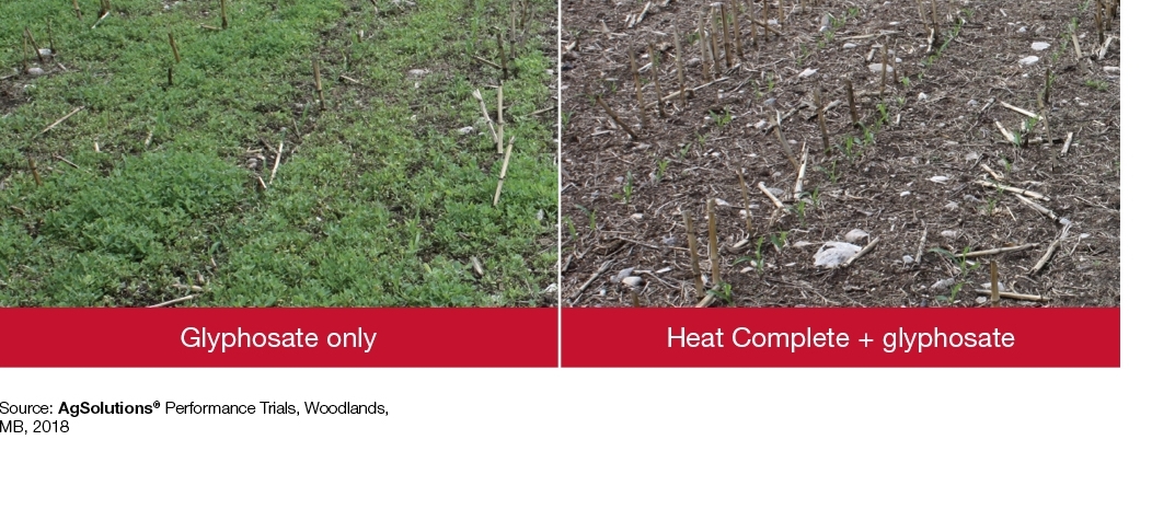 Field Comparison: Glyphosate only + Heat Complete + Glyphosate