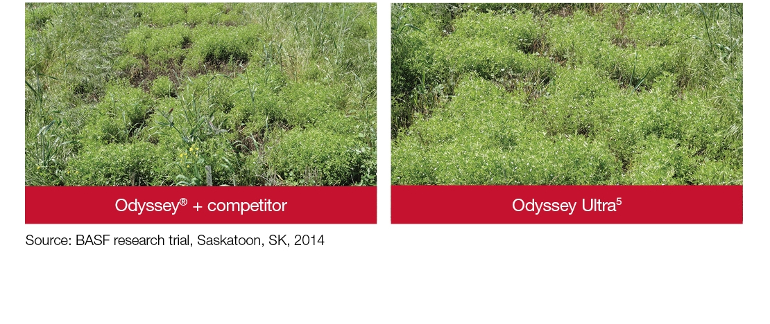 Field comparison: Odyssey + competitor. Odyssey Ultra
