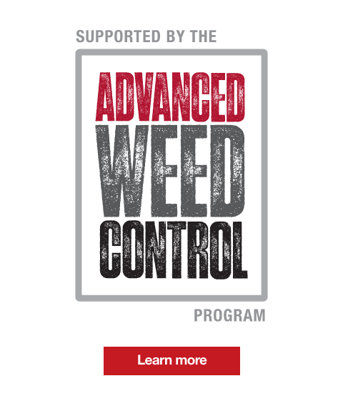 Advanced weed control program