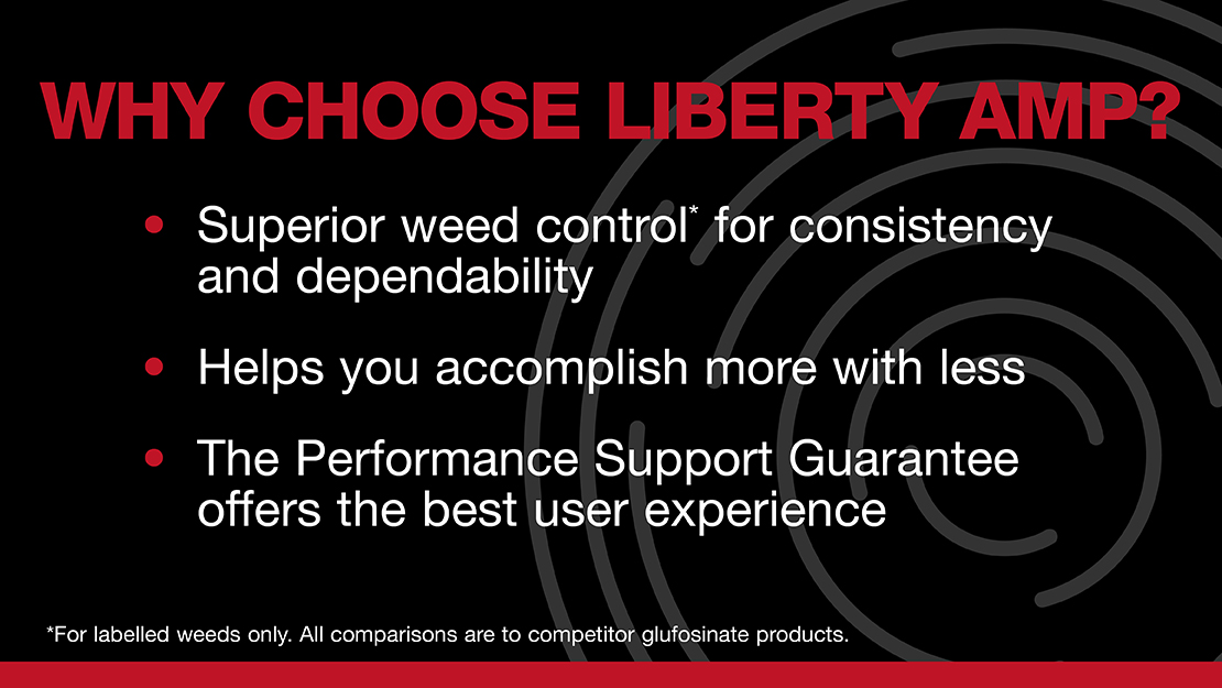 Benefits of Liberty AMP