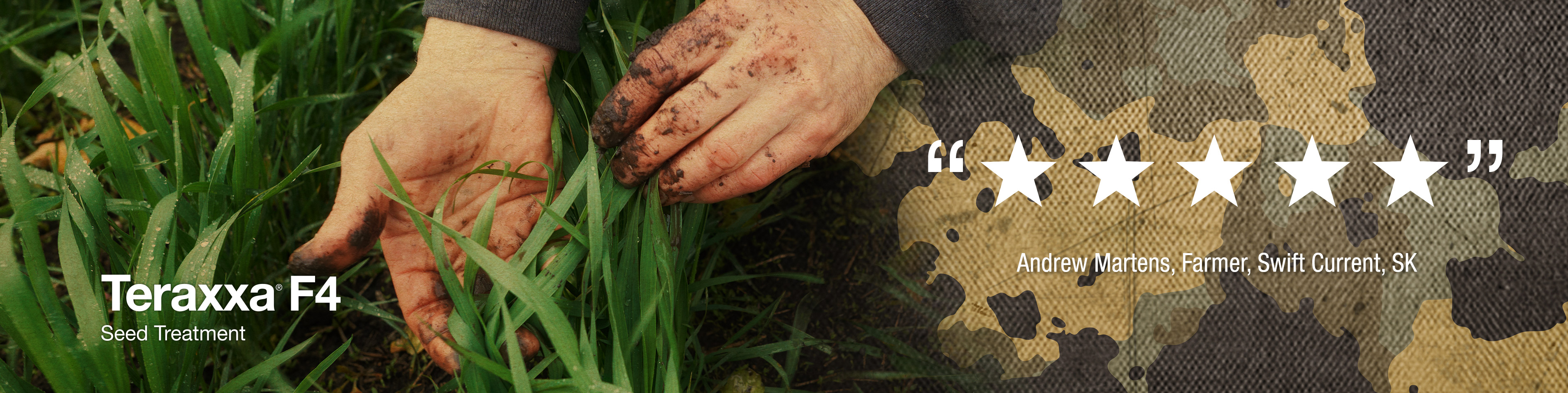 Close-up of hands holding crop