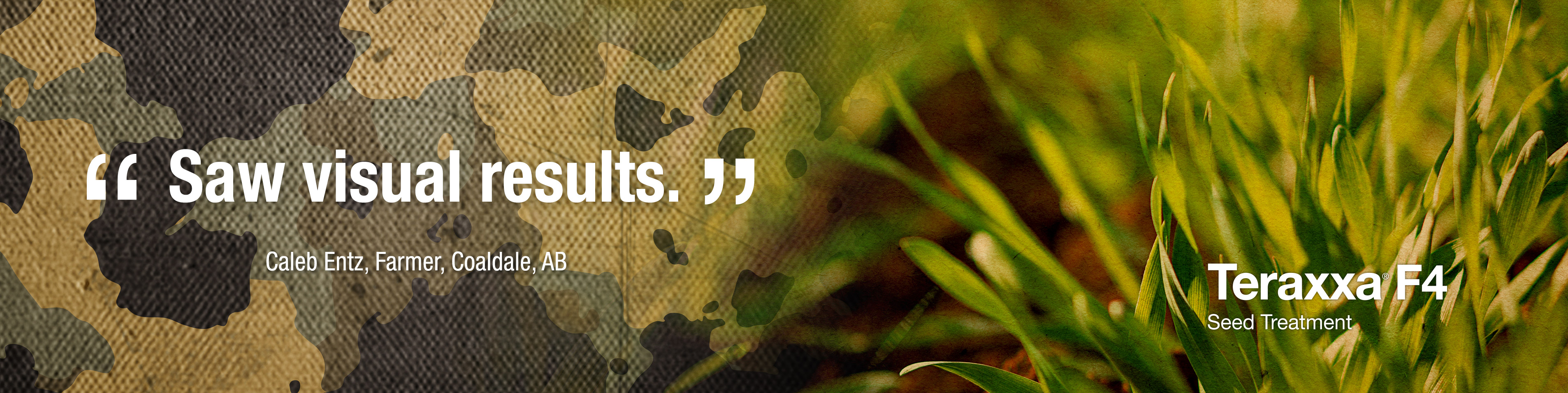 Close-up of wireworm