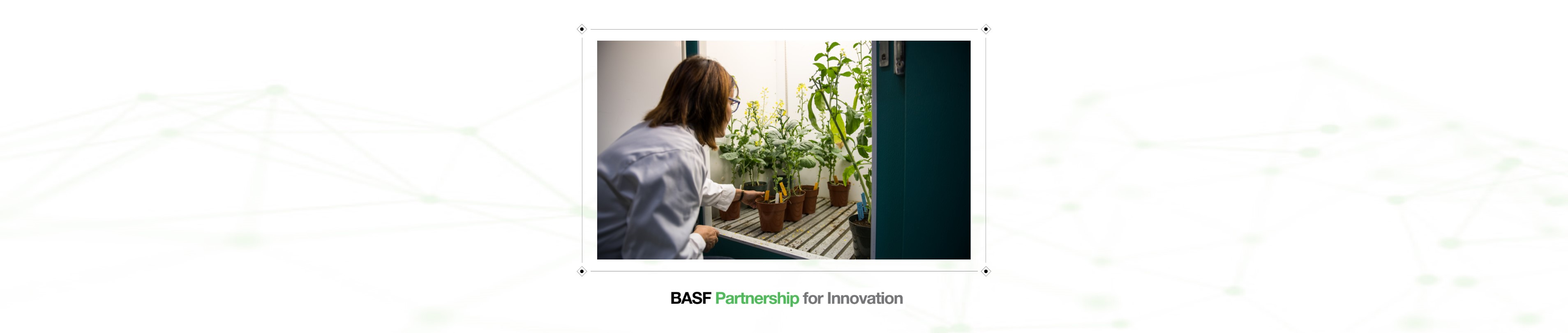 a woman in a lab examining potted plants