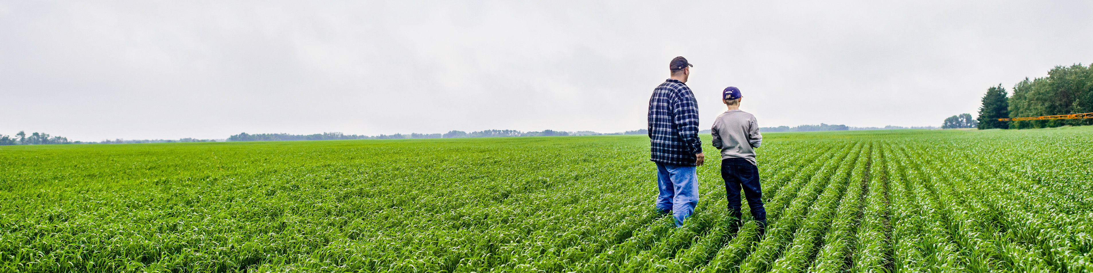 Farmer and child standing in field and looking into the distance