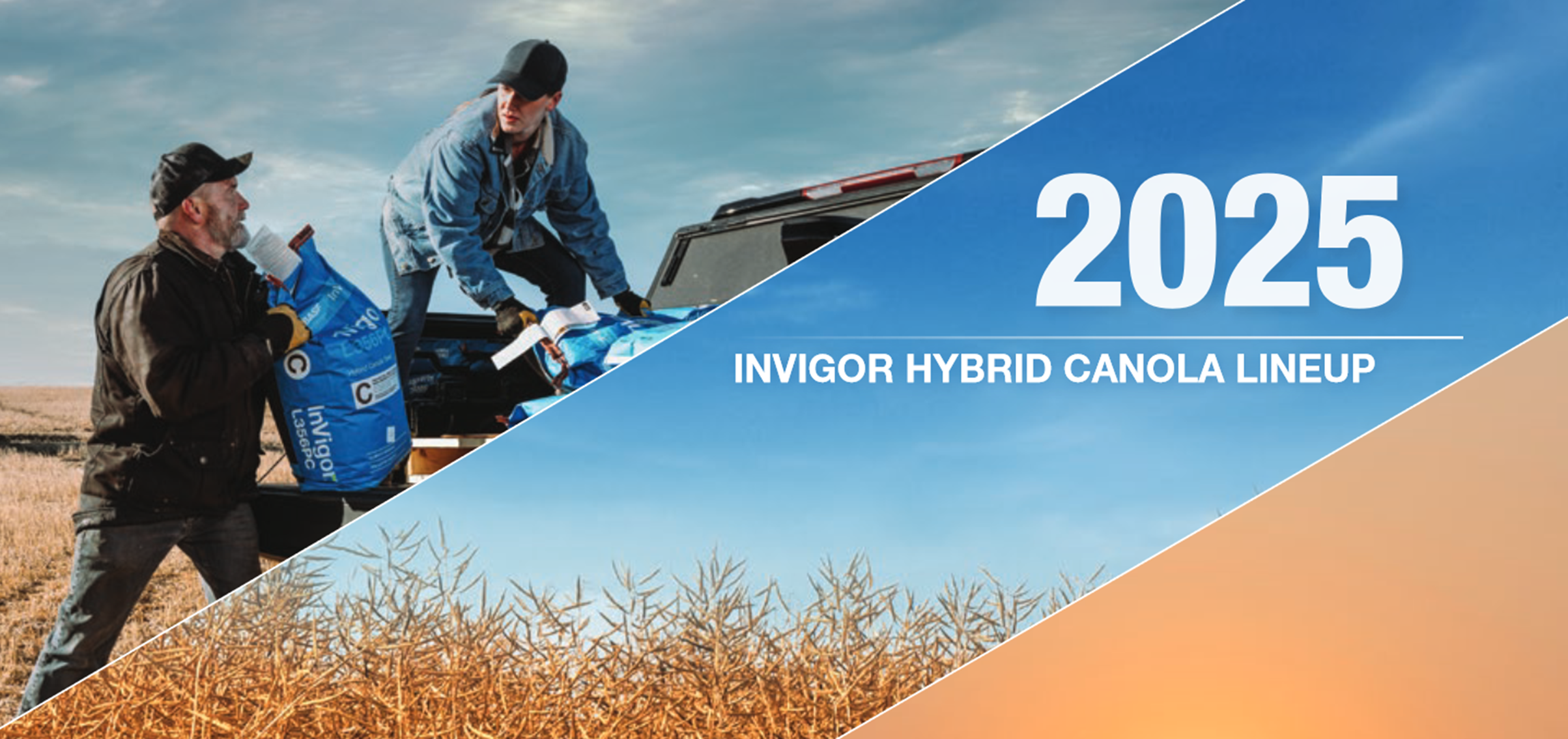 2025 InVigor Hybrid Canola