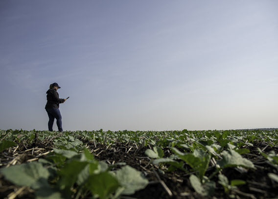 Female farmer looking at device in field