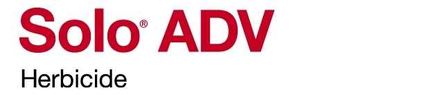 Solo ADV logo