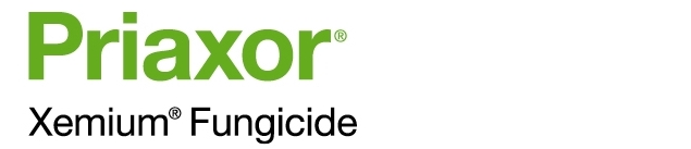 Priaxor product logo