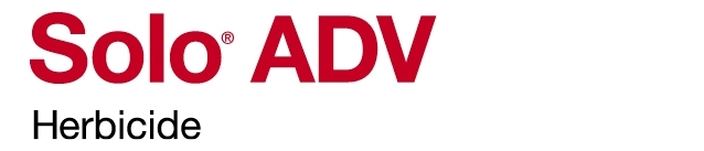 Solo ADV Logo