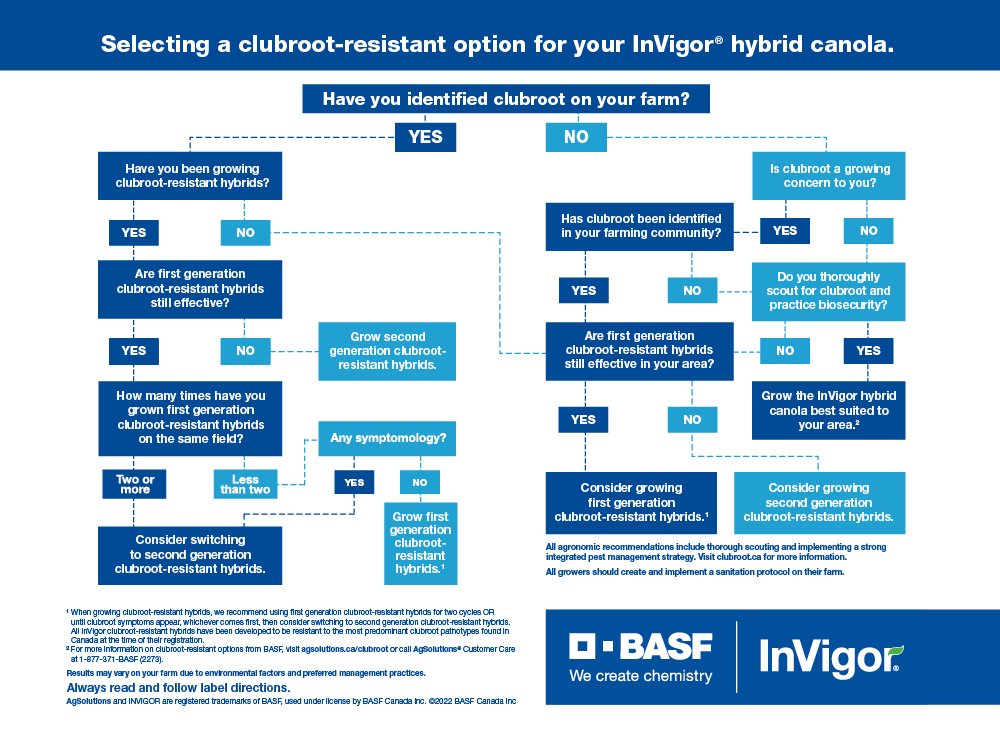 Clubroot-resistant decision tree