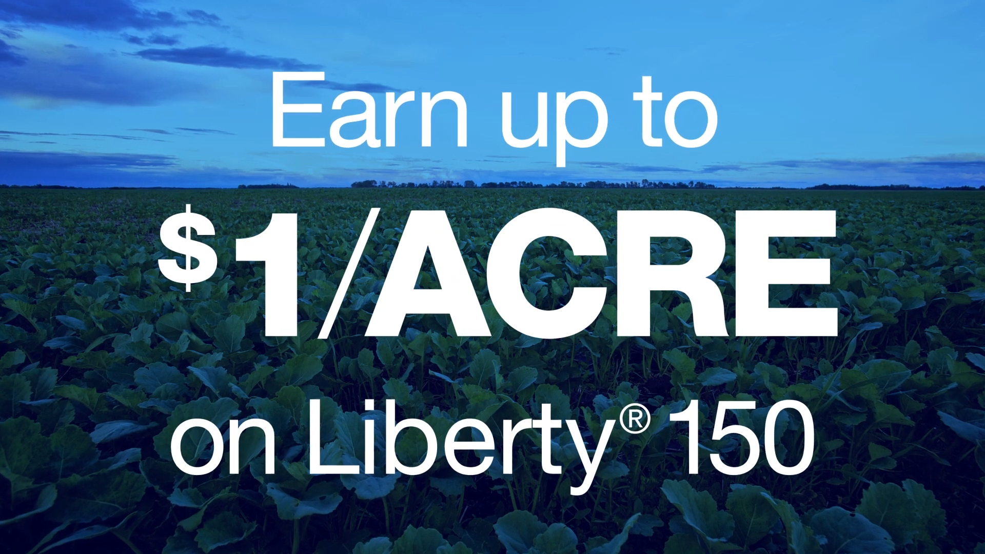video: Liberty 150 Reward