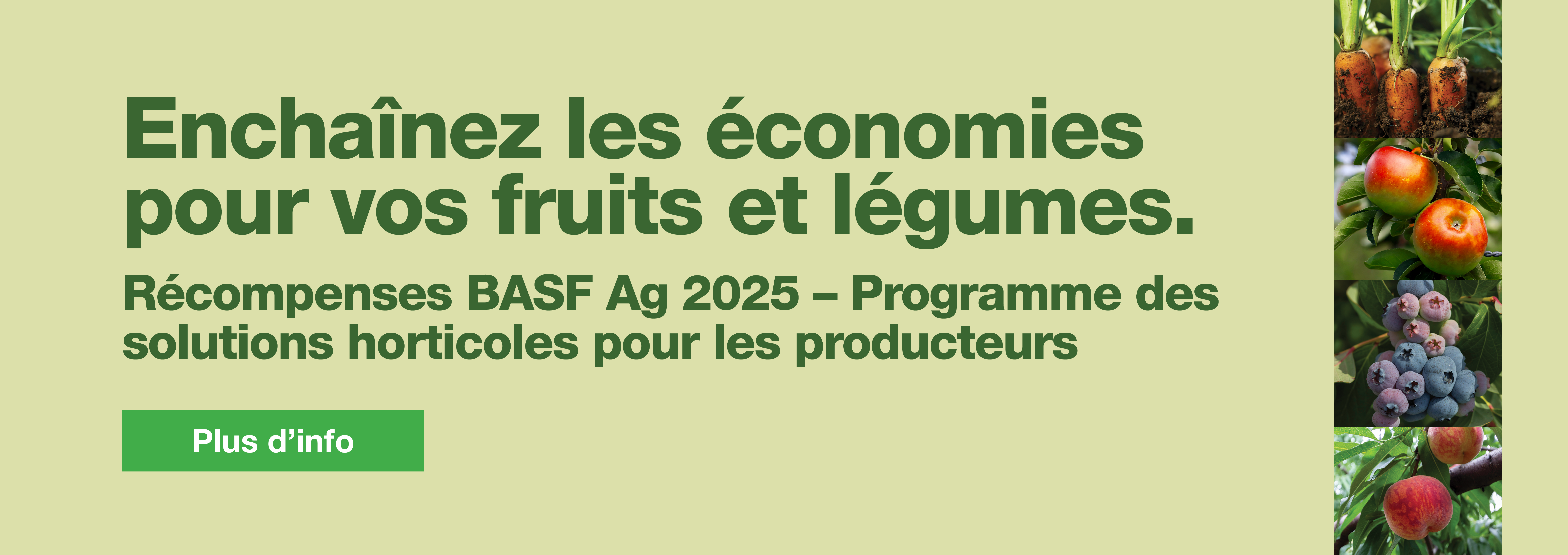 Récompenses BASF Ag 2025 – Programme des solutions horticoles pour les producteurs