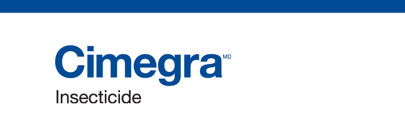 Cimegra Logo